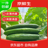 京鲜生宁夏有机水果黄瓜净重5斤单果60g+ 新鲜蔬菜 源头直发