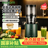 惠人（HUROM）惠人 （HUROM）原汁机 带过滤网 韩国进口多功能大口径家用低速榨汁机 绿汁机 H320N-BIS01(GN)