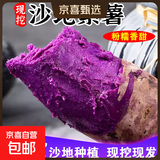 紫罗兰红薯沙地现挖紫薯宝宝辅食紫芋头山芋苕粗粮新鲜包邮 紫罗兰紫薯9斤中大果 含箱