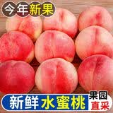 飘香果度山西水蜜桃子毛桃当季现摘脆甜桃子水蜜桃新鲜水果 5斤装【超值大果】净重4.5斤【单果150-200g】