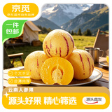 京觅云南石林人参果 净重3斤 单果80g+大果 应季新鲜水果 源头直发