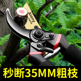 精工艺园剪刀剪树枝专用剪刀修枝剪果树剪花园林园艺剪子 【金角大王】第6代SK5钢精磨刀刃【软胶套手柄】