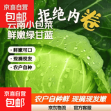 云南小包菜新鲜卷心菜农户自种蔬菜绿甘蓝鲜嫩可口单果250g起 绿甘蓝 3斤