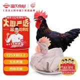 温氏供港黑脚土公鸡3.2斤 135天莫氏鸡煲同款食材 冷冻散养土鸡走地鸡