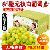 【顺丰】新疆葡萄 火焰玻璃翠无核三色白葡萄脆甜马奶提子水果 无核白葡萄 4.5斤净重 精品果【自吃划算】
