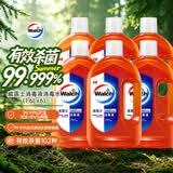 威露士（Walch）消毒液1.6L*6瓶 家居洗衣消毒水杀菌衣物箱装非84酒精