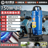 中民全铜电机无刷直流潜水泵48V60V72V电瓶车通用农用大流量抽水机 无刷直流泵2寸750W15米扬程8吨 【全铜电机】48V60V72通用15米线