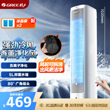 格力（GREE）【香薰净化风】家用空调扇冷风扇负离子净化静音落地冷风机水冷塔扇制冷小空调 KS-05X60Dg