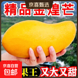 正宗金煌芒特大海南水仙芒果新鲜时令水果超甜京东包邮产地直发 【大果5斤】单果300克+｜核薄肉厚
