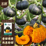 北蔬 贝贝南瓜种子种苗板栗味阳台盆栽种菜蔬菜种籽 贝贝南瓜种子10粒