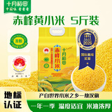 十月稻田 赤峰小米 5斤 内蒙古敖汉 小米黄小米 杂粮米 粗粮 早餐小米粥