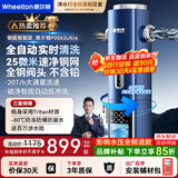 惠尔顿（WHEELTON）前置过滤器20T大流量全屋家用净水器自来水反冲洗自动刮洗抗菌防爆防冻过滤器顶置压力表 上门安装 （智能款P0063ultra全钢阀头25微米）