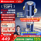 惠尔顿前置过滤器20T大通量过滤25微米反冲洗家用全屋净水器 实时自动清洗刮洗自来水防爆过滤器P0038pro 上门安装【20T-升级25微米精滤】