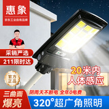 惠象太阳能庭院照明灯户外农村用感应灯防水室外院子路灯 XY-QMWD15K