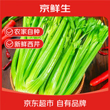 京鲜生新鲜西芹 净重2.5斤 简装 新鲜蔬菜 精选源头直发