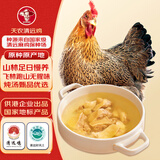 天农原种清远鸡整只生鲜鸡肉 2斤 山林慢养清远走地鸡椰子鸡火锅 冷冻