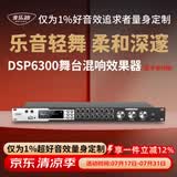 麦乐迪DSP6300卡拉ok混响器 数字音频前级效果器 家庭影院防啸叫调音台处理器含话筒 调音台均衡器 DSP6300蓝牙升级版(含线) 标准版