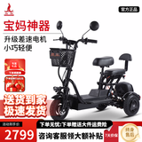 凤凰（Phoenix）Q3电动三轮车家用小型电动摩托车成人女士亲子折叠轻便电瓶车 【Q3双座】豪华款+续航约60公里