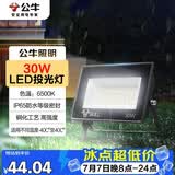 公牛（BULL）LED投光灯户外庭院工厂园林灯露营灯 IP65防水等级30W-6500K白光