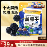 三只松鼠每日蓝莓干500g 蜜饯果干酸甜休闲零食下午茶孕妇儿童健康零食