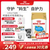 皇家柯基狗粮 幼犬粮  中型犬 12月以下 全价粮CGJ29 3KG【骨骼呵护】