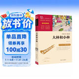 大林和小林（中小学课外阅读 无障碍阅读） 