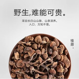 森百味东北特产礼盒南北干货蘑菇菌菇汤包野生榛蘑松蘑香菇羊肚菌鹿茸菇 野生榛蘑250g*1袋