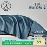 巢歌A类面料新疆长绒棉枕头套枕套一对纯棉亲肤四季家用全棉枕芯套