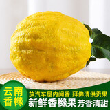 风车车农场云南香橼果 佛手柑 佛手香缘果 青果 当季新鲜水果 2-3斤（青果）1个