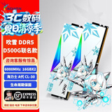 威刚（ADATA）XPG龙耀D500G吹雪联名DDR5台式内存条C28时序严选海力士Adie颗粒ddr5内存条灯条套装9800X3D专用 【C30/Adie】6000 16*2吹雪