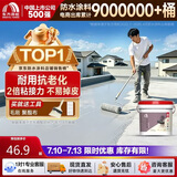 雨虹防水 楼顶屋顶防水补漏材料耐高温防晒 防水涂料屋顶防水 房屋补漏