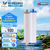 道尔顿（Doulton）净水器滤芯DCP/DIP203 DIP301净水器适配滤芯套装 DIP/DCP203滤芯套装2504M12+KDF