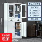 YN文件柜钢制文件柜铁皮柜子储物柜带锁办公室五节财务凭证档案资 中二斗柜(整体发货，破损包赔) 常规款