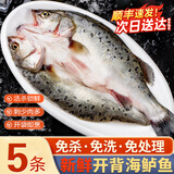 百鲜洽深海七星海鲈鱼开背三去整鱼速冻锁鲜真空包装免处理清蒸烤鱼食材 海鲈鱼【开背净膛】400g-500g条*5条