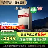 史密斯（A.O.SMITH）16升精钢燃气热水器  1级静音 恒温大水量 抗风防冻 JSQ31-TEW 更安全更安静 以旧换新