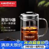 金灶（KAMJOVE） 小青柑玻璃茶壶泡茶壶 耐热玻璃茶具 茶水分离杯花茶壶飘逸杯 A75 380ml