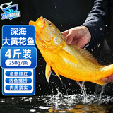 冰鲜部族特大深海黄花鱼精品大黄鱼海捕活冻鲜活大海鱼鲜海鲜水产批发包邮 【深海特大黄花鱼250g*2】蒜瓣肉