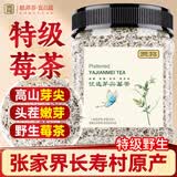 贡苑 张家界高山莓茶40g 特优级富含黄酮龙须嫩芽尖土家永顺野生霉茶
