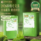 贡苑绿茶2026新茶 特级毛尖茶叶250g明前嫩芽正宗栗香信阳口感自己喝