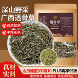 山林百草透骨草500克生透骨草中药材药材原料自然晾晒深山野采