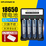 德力普（Delipow）18650锂电池3.7V-4.2V尖头9250mWh充电电池配四槽智能充电器强光手电筒专用/头灯/航模/小风扇等