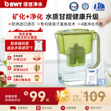 倍世（BWT）净水壶滤水壶净水器家用 欧洲去水垢滤芯 益家4.2升大容量 过滤水壶 厨房客厅通用  年会年货送礼 【去水垢滤芯】1壶1芯 绿色