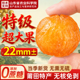 优卓【山东农科院】莆田龙眼干桂圆果干新果肉厚泡水煲汤无核免剥250g