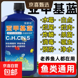 亚甲基蓝鱼药水族箱鱼缸消毒杀菌观赏鱼锦鲤白点烂身烂尾专用鱼药 500ml/瓶【10瓶】送量杯