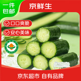 京鲜生宁夏有机水果黄瓜净重3斤单果60g+ 新鲜蔬菜 源头直发