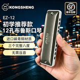 孔声【新品】12孔全音阶布鲁斯口琴EZ12成人初学十孔专业演奏乐器 12孔【C调】+全套赠品