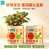 IAM City Farmer番茄罐头儿童种植小盆栽幼儿园植物观察开学季教师节礼物10061