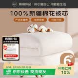 源生活 100%正宗新疆手采棉被 纯棉棉絮春秋被子被芯加大 6斤220*240cm
