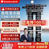 惠尔顿（WHEELTON）商用净水器大流量直饮奶茶店餐饮店茶室食堂净水机咖啡机制冰机开水机专用自来水过滤器出水量大 双联100吨总净水量