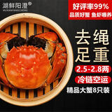 【活蟹】湖鲜阳澄 大闸蟹 去绳足重 2.5-2.8两 8只 鲜活六月黄现货超大螃蟹生鲜礼盒装